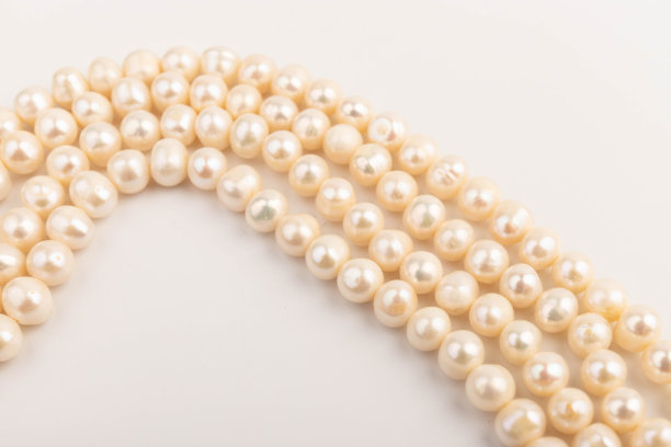 白底珍珠。女性项链首饰。图片下载