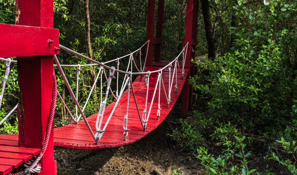 红色木桥悬挂在森林中，徒步冒险或探索自然丛林图片下载
