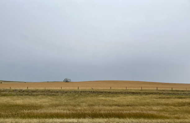 平坦的蒙大拿州景观图片下载