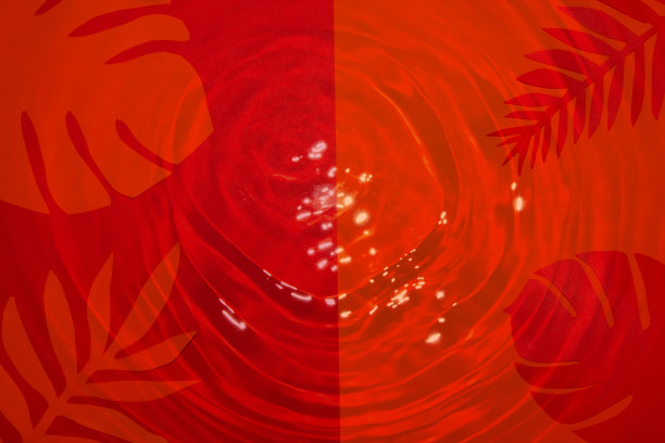 红橙色背景上的丛林树叶，水下设计，夏季艺术图片下载