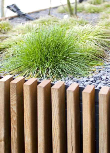 现代户外花盆中的绿色植物。图片下载