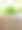 现代户外花盆中的绿色植物。图片下载