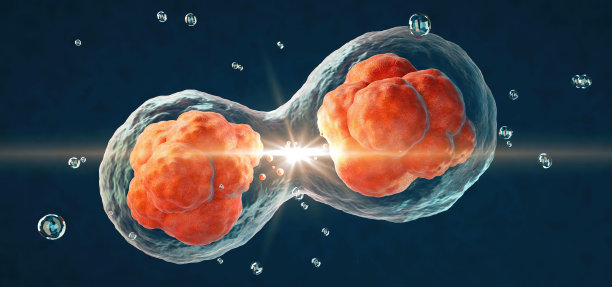 人类细胞或胚胎干细胞显微镜背景的3D渲染图片下载