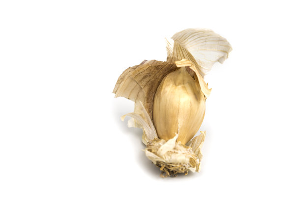 一片干蒜和蒜皮图片下载