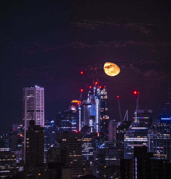 悉尼午夜图片下载