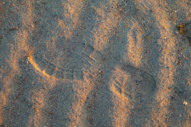湿沙上的徒步靴脚印。户外日落漫步图片下载