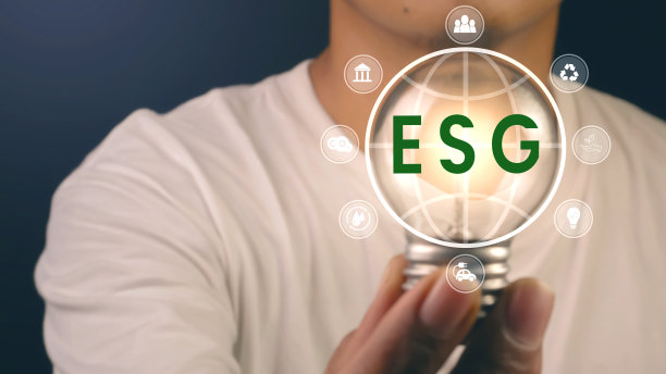 手持灯泡与ESG图标图片下载