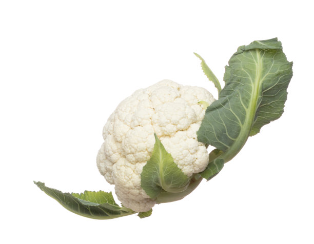 菜花在半空中飞翔，菜花落在绿色的新鲜蔬菜上。有机新鲜蔬菜与菜花食叶搭配，质感紧密。白色背景隔离冻结运动高速快门图片下载