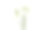 雪花莲孤立在蓝色圈或婚礼雪纺。春天是复活节的概念图片下载