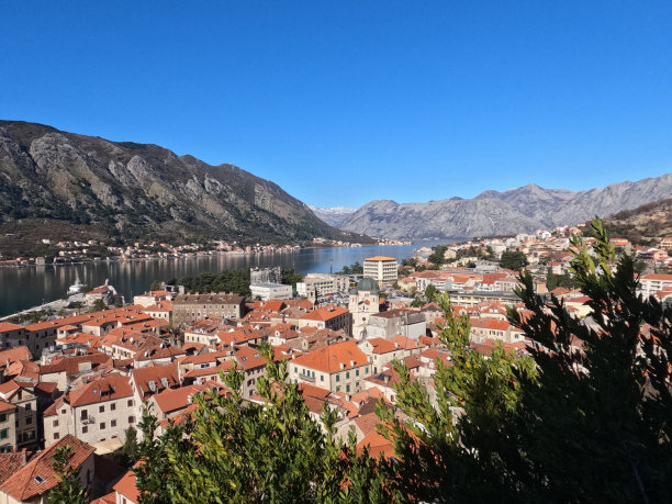 科托尔城。城市的观点。橙色屋顶的可爱房子。亚得里亚海。从上面看。图片下载