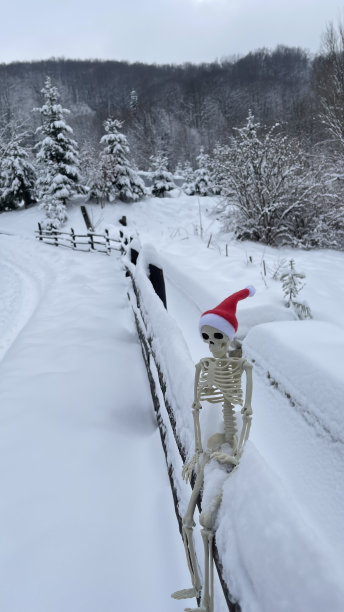 骷髅，瑜伽，雪，喀尔巴阡山脉，冬天图片下载