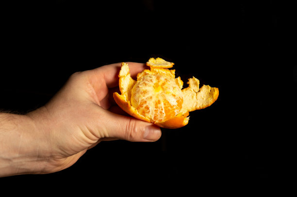 手握成熟的陈皮上黑色隔离背景图片下载