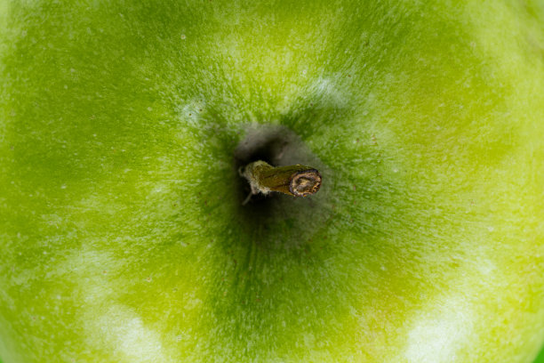 特写苹果全屏图片下载