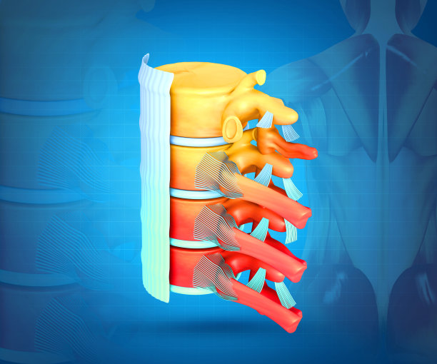 科学背景下的人体脊柱。脊柱癌，损伤，疼痛。三维演示图片下载