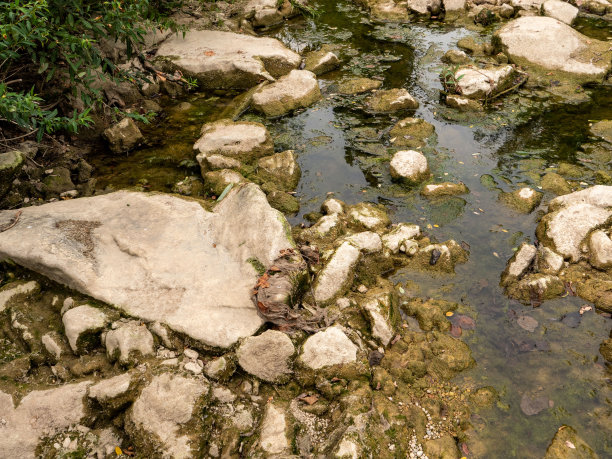 瑞士的干涸河流与草地景观，全球变暖概念图片下载