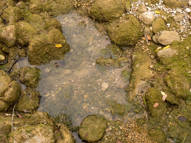 瑞士的干涸河流与草地景观，全球变暖概念图片下载