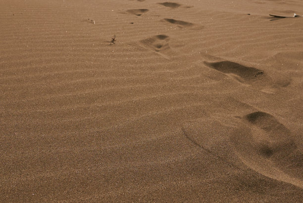 沙漠上的人类脚印图片下载