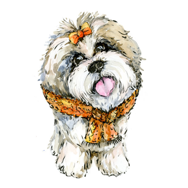 一只小狗，白色背景上的水彩画。图片下载