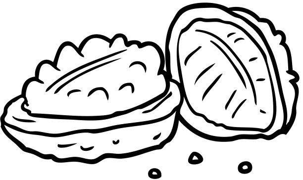 一个核桃的线条图图片下载