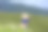 亚洲妇女穿着传统的布料在她的山坡上采摘新鲜的茶叶和种植园的经营理念图片下载