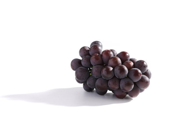 白色背景下的红葡萄图片下载