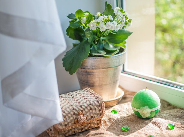 照片中盆栽、盒子和窗台上的绿色蜡烛。图片下载