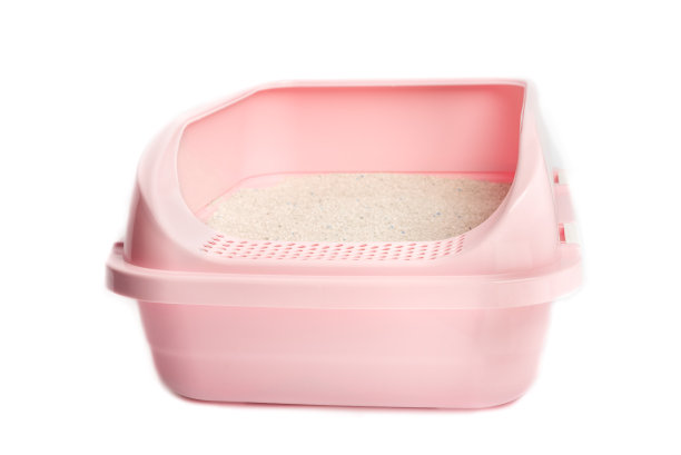 塑料粉红色猫砂与膨润土填充大型品种的猫图片下载