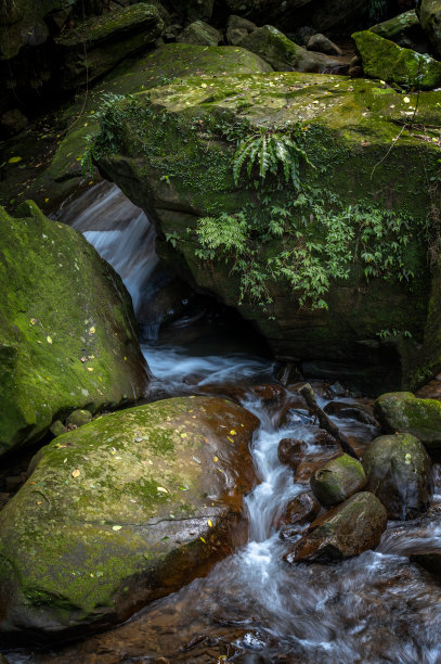 在台湾基隆暖东谷的徒步小径上，小溪缓缓流过长满苔藓和蕨类植物的美丽岩石。图片下载