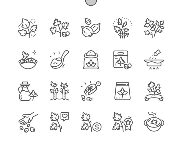 香菜。天然原料，香料。烹饪，食谱和价格。食品店，超市。干香菜籽。像素完美矢量细线图标。简单最小象形文字图片下载