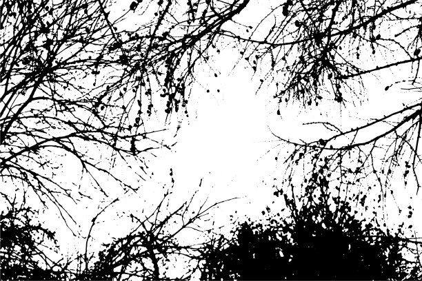 透明背景上的树枝剪影图片下载