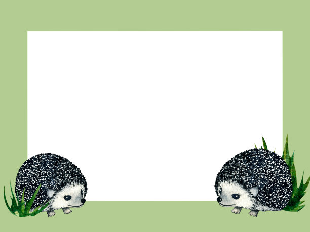 水彩框架与刺猬和野兔，兔子在白色的背景。儿童自然插画设计。图片下载