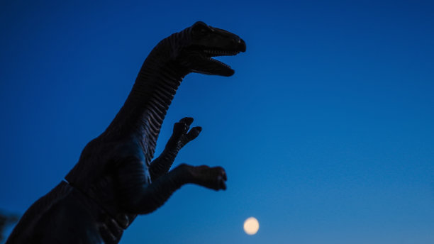 恐龙在夜空背景下的剪影。史前食肉动物。已经灭绝的动物。图片下载