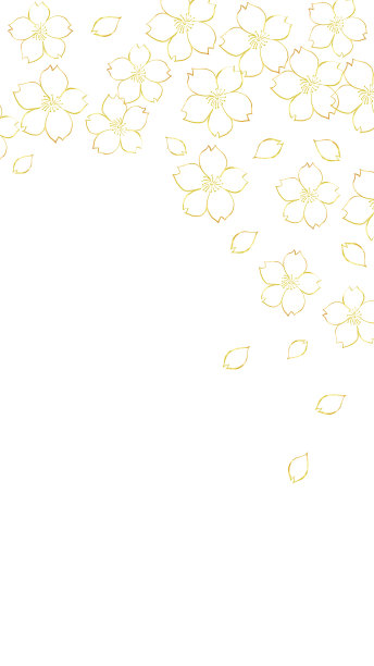 金色的樱花和花瓣背景图片下载