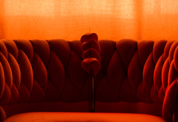 的一半图片下载