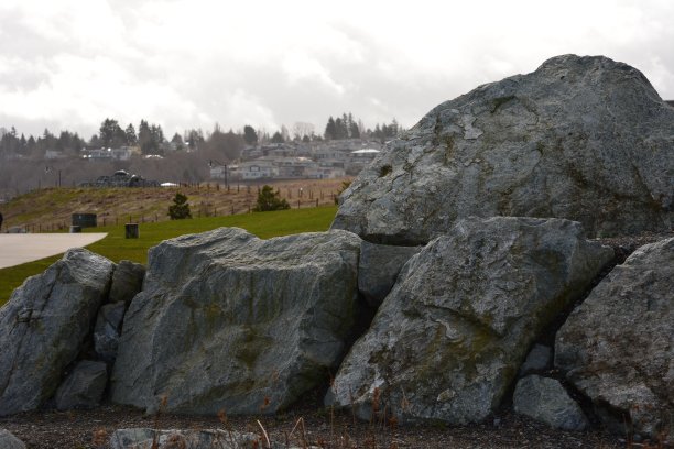 公园里的石头。图片下载