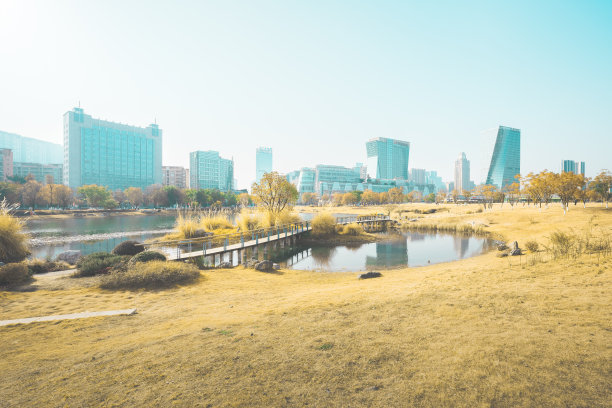 阳光成都金融城图片下载