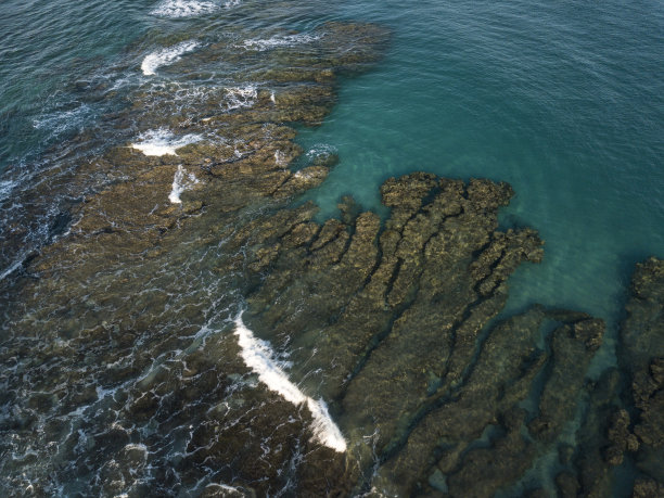 从上面看珊瑚礁图片下载