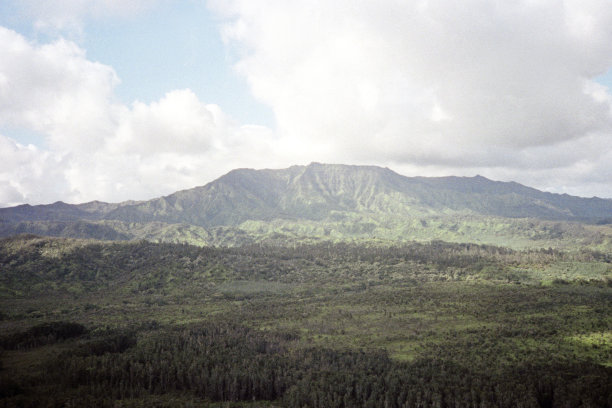 郁郁葱葱的夏威夷景观图片下载