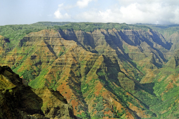 郁郁葱葱的夏威夷丘陵图片下载