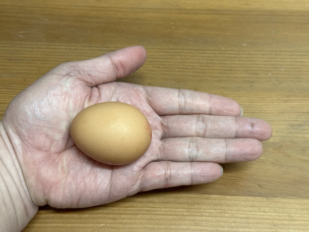 鸡蛋在我手上图片下载