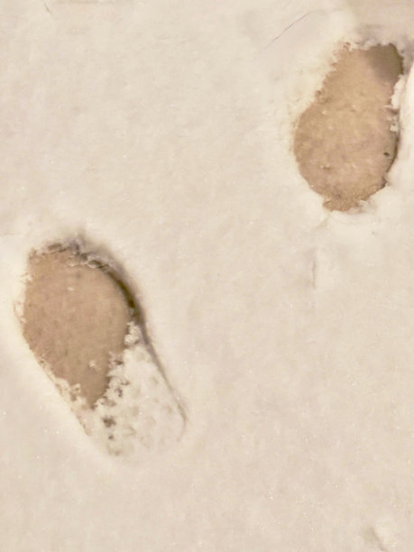 不同方向的脚印图片下载