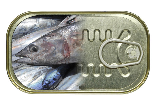 半开的鱼罐头里的金枪鱼头。消费关键话题——海洋过度捕捞图片下载