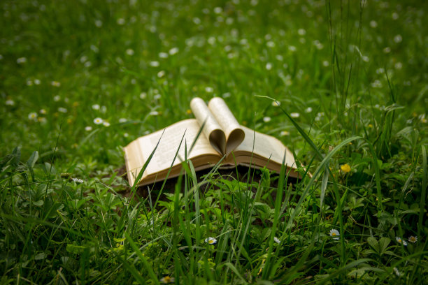 在草地上用纸书画出心形图片下载