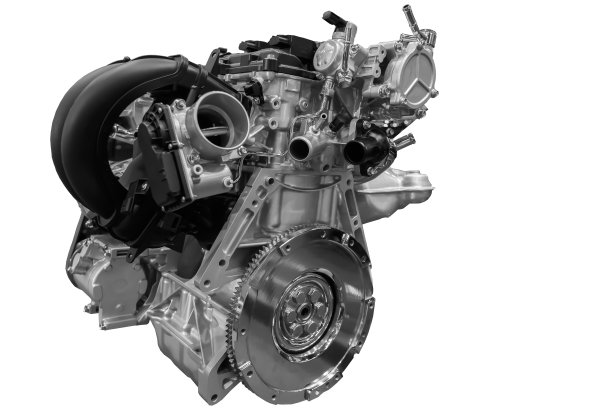 新引擎黑白相间图片下载