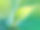 龙舌兰植物特写图片下载