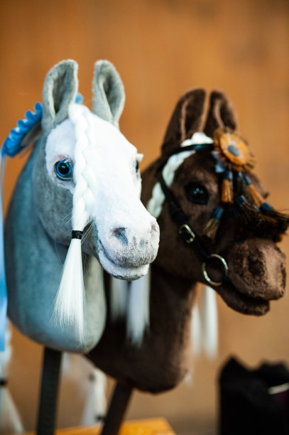 爱好马图片下载