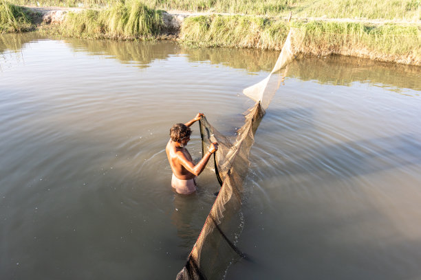 渔夫用笼子捕鱼图片下载