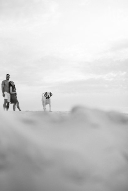 穿着橙色衣服的年轻夫妇带着狗图片下载