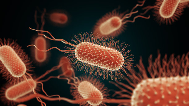 显微镜下的细菌或病毒图片下载