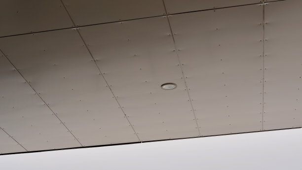 巨大的玻璃橱窗和突出的屋顶是山麓景观的一面镜子。金属黄金。墙壁和天花板覆板与铆钉连接。卤素灯在天花板图案图片下载